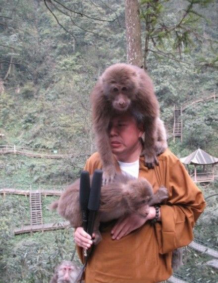 被妖猴恶搞的延参法师